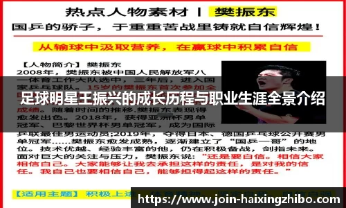 足球明星王振兴的成长历程与职业生涯全景介绍