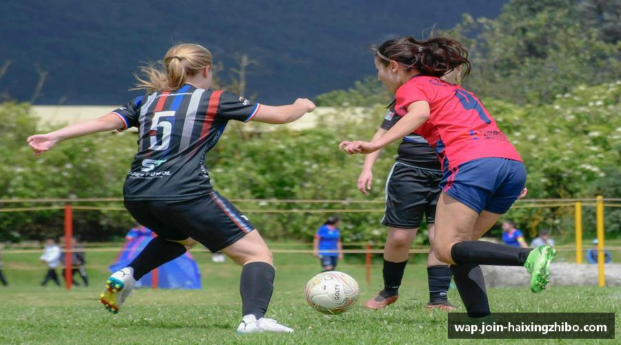 海星体育直播在线观看-高清免费赛事直播平台-海星体育直播